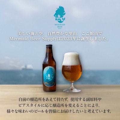 館山ブロンドエール 12本セット【配送不可地域：離島】【1578240】