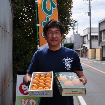 【先行受付】5月下旬より順次発送　露地栽培「房州びわ」 2L・3Lサイズ合計12粒　化粧箱入り【配送不可地域：離島】【1492169】