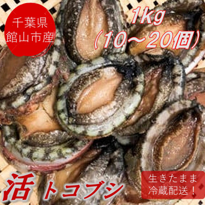 【先行予約】【金曜日発送】漁師直送!天然活トコブシ1kg(10〜20個)【配送不可地域：離島・北海道・沖縄県・東北・中国・四国・九州】【1532978】