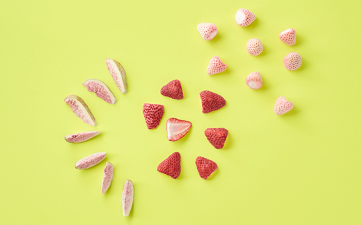 蜊玲袷邱城、ィ螻ア繝輔Μ繝シ繧コ繝峨Λ繧、繝輔Ν繝シ繝3遞ョ鬘 逑カ隧ー繧√1599715縲