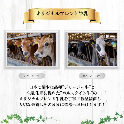 【新嘗祭奉納】須藤牧場の低温殺菌ノンホモ牛乳 900ml×2本【配送不可地域：離島】【1487101】