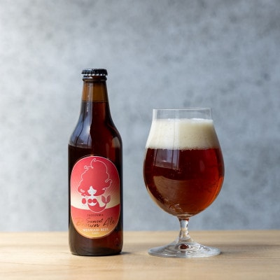 館山サンセットブラウンエール　6本セット【配送不可地域：離島】【1620116】