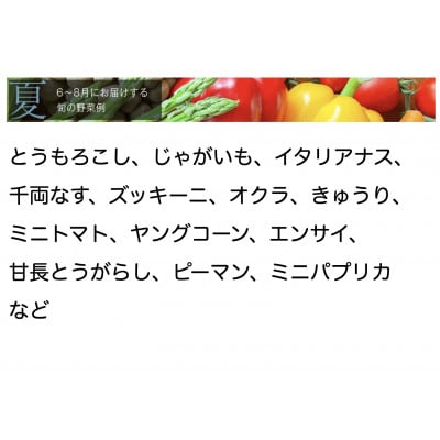 【毎月定期便】【中旬発送】こだわりの旬野菜BOX「リエビン」季節の野菜セット全12回【配送不可地域：離島・沖縄県】【4012346】
