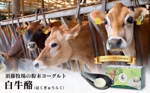 ジャージー生乳100% 完全無添加フリーズドライヨーグルト「白牛酪」【1721977】