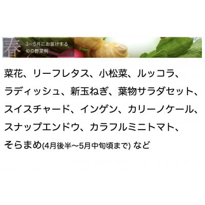 野菜ソムリエプロ厳選!こだわりの旬野菜BOX「リエビン」季節の野菜セット【配送不可地域：離島・沖縄県】【1488314】