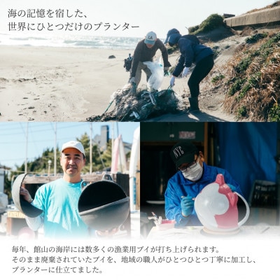 アップサイクルプランター　海カエルてんとう虫(1個)【1681045】