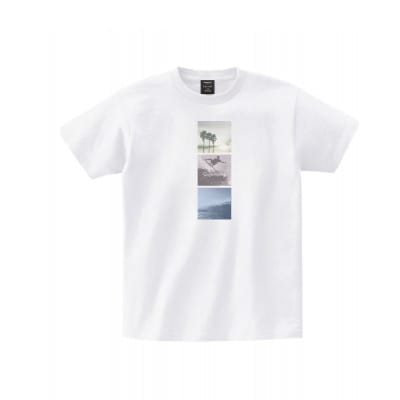 【館山市】TOPOS|Photo+T|LAT35°Nプロジェクト|Sサイズ【1758938】