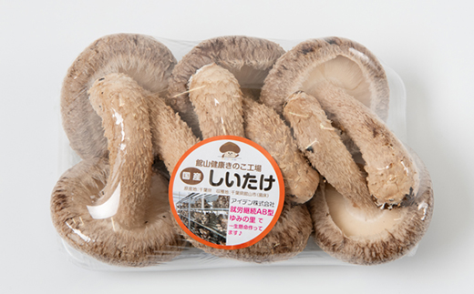 【農福連携】千葉県館山産 生しいたけ110g×5パック 就労継続支援A/B型併用事業所「ゆみの里」【配送不可地域：離島・沖縄県】【1486687】