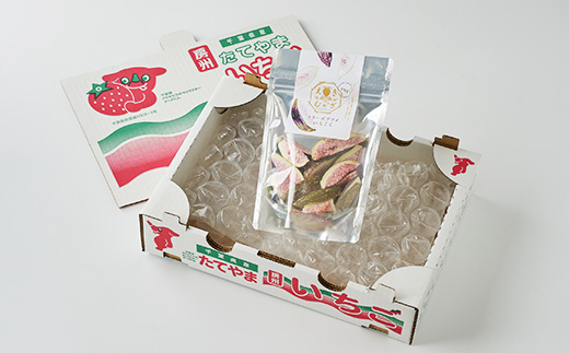 きざえむファームの南房総館山フリーズドライ いちじく 1パック【1487564】