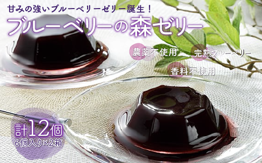 ＜甘みの強いブルーベリーゼリー誕生！＞ブルーベリーの森ゼリー12個 ふるさと納税 ブルーベリー ゼリー コラーゲン スイーツ おやつ 美容 健康 千葉県 木更津 送料無料 KT001