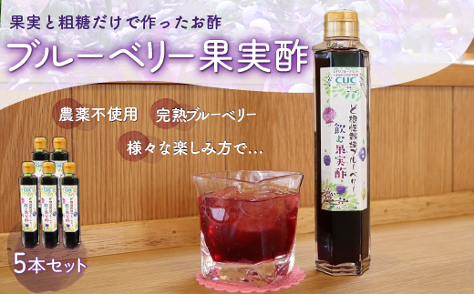 ＜果実と粗糖だけで作ったお酢＞飲むブルーベリー果実酢　5本セット ふるさと納税 ブルーベリー お酢 酢 健康 美容 果実酢 ソーダ 水割り 千葉県 木更津 送料無料 KT005