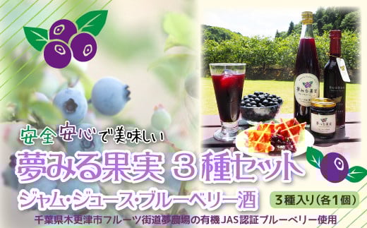 ＜有機栽培ブルーベリー使用＞夢みる果実ブルーベリー　加工品３種セット ふるさと納税 ブルーベリー ブルーベリージュース アントシアニン 千葉県 木更津市 送料無料 KAA004