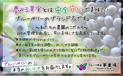 ＜有機栽培ブルーベリー使用＞夢みる果実ブルーベリージュース（果汁40％）500ml×2本 ふるさと納税 ブルーベリー ブルーベリージュース アントシアニン 千葉県 木更津市 送料無料 KAA001