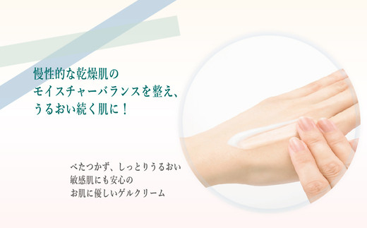 Give&Give ゲルクリーム【アクア ラ エクストラモイスト】 ふるさと納税 千葉県 木更津 送料無料 KBA011