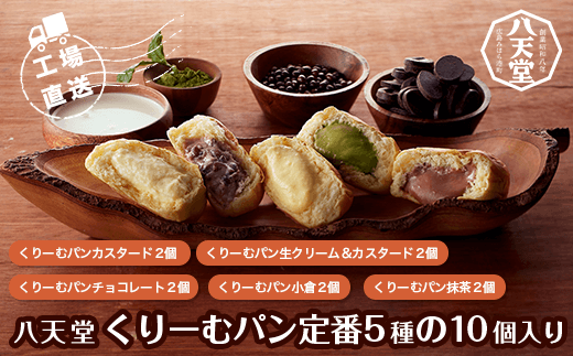 ＜工場直送＞八天堂くりーむパン定番５種の１０個入り ふるさと納税 パン クリームパン 千葉県 木更津市 送料無料 KBS004