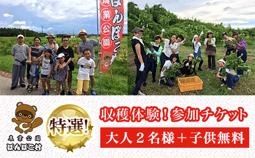 ＜農業公園ぽんぽこ村＞特選収穫体験！参加チケット（大人２名様＋子供無料） ふるさと納税 野菜 野菜セット 収穫体験 千葉県 木更津 送料無料 KAT003