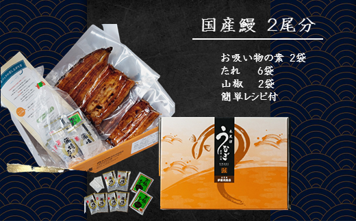 国産うなぎの蒲焼〈冷凍・真空〉約105ｇ×2パック（2尾分）合計約210ｇ ふるさと納税 うなぎ 国産 鰻 2尾 千葉県 木更津 送料無料 KAQ001