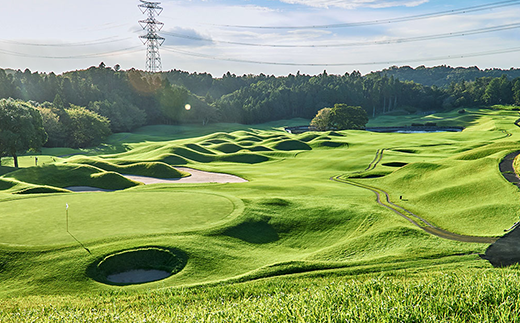 PGM繝槭Μ繧「繧エ繝ォ繝輔Μ繝ウ繧ッ繧ケ 蟷ウ譌・シ泌錐繝励Ξ繝シ蛻クシ医そ繝ォ繝包シ 縲舌オ繧九&縺ィ邏咲ィ 繧エ繝ォ繝輔励Ξ繝シ蛻ク 繧エ繝ォ繝 繧エ繝ォ繝募エ 繝励Ξ繝シ蛻ク 蜊闡臥恁 譛ィ譖エ豢・蟶 騾∵侭辟。譁吶 KB007