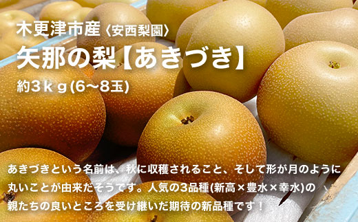 【先行予約】木更津市産　矢那の梨【あきづき】〈安西梨園〉 KCO003