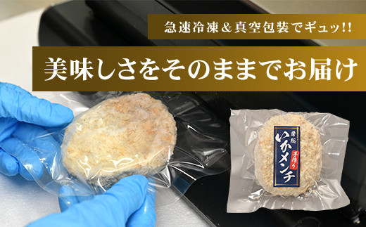 【1日1000個完売 16秒に1個売れているいかメンチ】いかメンチ10個 ふるさと納税 いか イカ メンチ イカメンチ いかめんち 海鮮 シーフード 千葉県 木更津市 KCF001