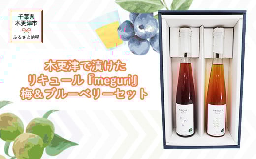 木更津で漬けたリキュール『meguri』梅＆ブルーベリーセット ふるさと納税 リキュール アルコール スピリッツ 千葉県 木更津 送料無料 KAM006