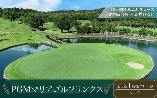 PGMマリアゴルフリンクス 土日祝１名プレー券（セルフ） 【ふるさと納税 ゴルフプレー券 ゴルフ ゴルフ場 プレー券 千葉県 木更津市 送料無料】 KB006