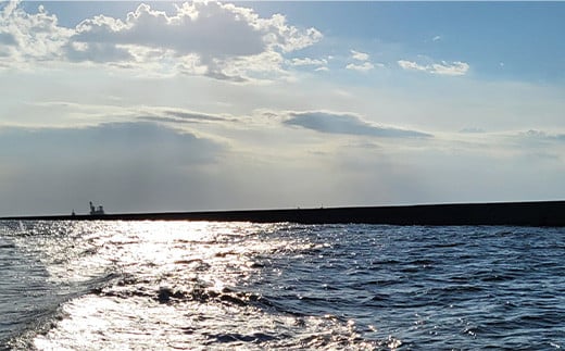 ＜宮川丸＞木更津防波堤釣り 渡船乗船券　１名様分 ふるさと納税 釣り 船 舟 大漁 魚 イカ 漁船 千葉県 木更津 送料無料 KAO001