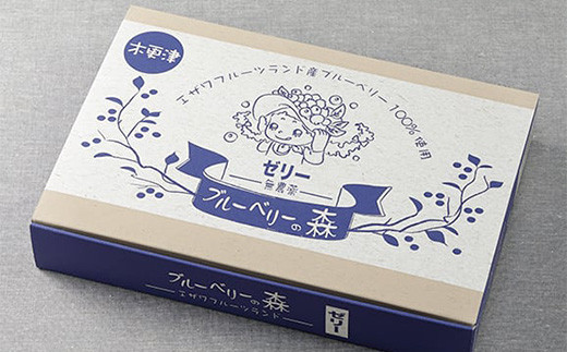 ＜甘みの強いブルーベリーゼリー誕生！＞ブルーベリーの森ゼリー12個 ふるさと納税 ブルーベリー ゼリー コラーゲン スイーツ おやつ 美容 健康 千葉県 木更津 送料無料 KT001