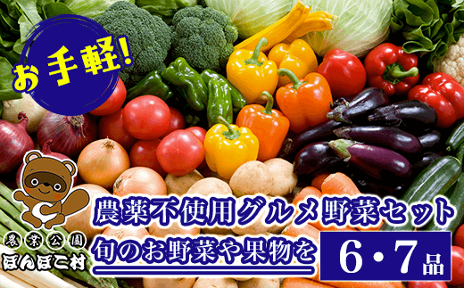 お手軽！農薬不使用グルメ野菜セット【旬のお野菜や果物を6・7品】＜農業公園ぽんぽこ村＞ ふるさと納税 野菜 野菜セット 新鮮 農薬不使用 オーガニック お鍋 サラダ 千葉県 木更津 送料無料 KAT002