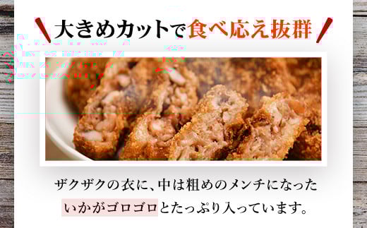 【1日1000個完売 16秒に1個売れているいかメンチ】いかメンチ10個 ふるさと納税 いか イカ メンチ イカメンチ いかめんち 海鮮 シーフード 千葉県 木更津市 KCF001