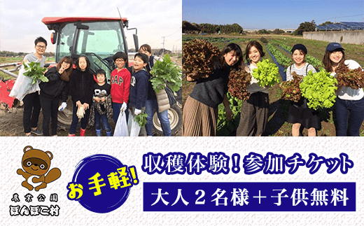 ＜農業公園ぽんぽこ村＞お手軽収穫体験！参加チケット（大人２名様＋子供無料） ふるさと納税 野菜 野菜セット 収穫体験 千葉県 木更津 送料無料 KAT004
