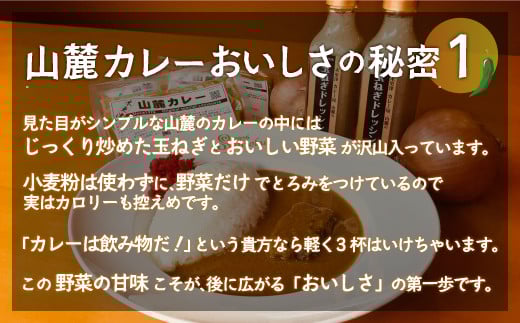 また食べたくなるカレー！＜木更津山麓カレー＞関脇・大関・横綱・特製玉ねぎドレッシングセット ふるさと納税 カレー 健康 からだにやさしい 辛さ 重量 大辛 小結 レトルト 千葉県 木更津 送料無料 KP003