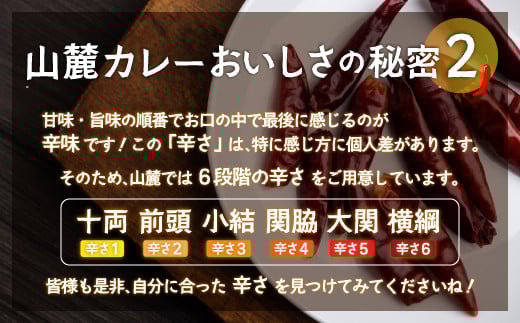 また食べたくなるカレー！＜木更津山麓カレー＞関脇・大関・横綱・特製玉ねぎドレッシングセット ふるさと納税 カレー 健康 からだにやさしい 辛さ 重量 大辛 小結 レトルト 千葉県 木更津 送料無料 KP003