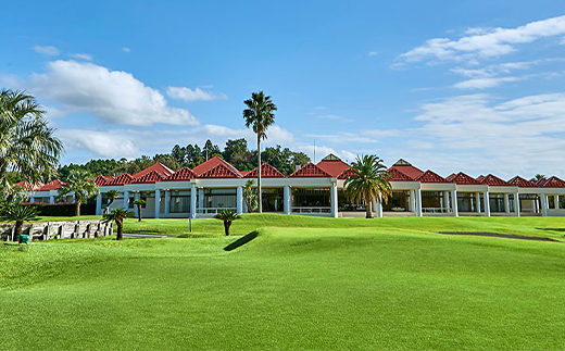 PGM繝槭Μ繧「繧エ繝ォ繝輔Μ繝ウ繧ッ繧ケ 蟷ウ譌・シ大錐讒倥励Ξ繝シ蛻クシ医そ繝ォ繝包シ 縲舌オ繧九&縺ィ邏咲ィ 繧エ繝ォ繝輔励Ξ繝シ蛻ク 繧エ繝ォ繝 繧エ繝ォ繝募エ 繝励Ξ繝シ蛻ク 蜊闡臥恁 譛ィ譖エ豢・蟶 騾∵侭辟。譁吶 KB005