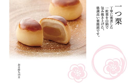 æ¢
æåºã»ã¬ã¯ãã16åå
¥ã KCM006