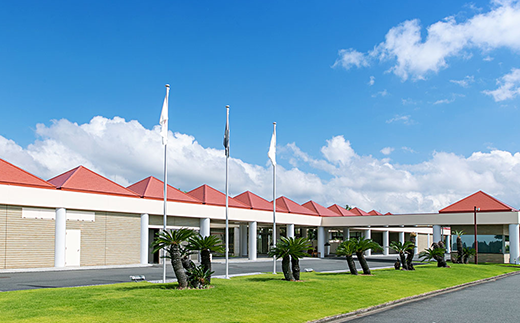 PGMããªã¢ãŽã«ããªã³ã¯ã¹ 忥ç¥ïŒåãã¬ãŒåžïŒã»ã«ãïŒ ããµãããšçŽçš ãŽã«ããã¬ãŒåž ãŽã«ã ãŽã«ãå Ž ãã¬ãŒåž åèç æšæŽæŽ¥åž éæç¡æã KB008