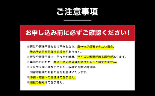 【先行予約】木更津市産　矢那の梨【あきづき】〈安西梨園〉 KCO003