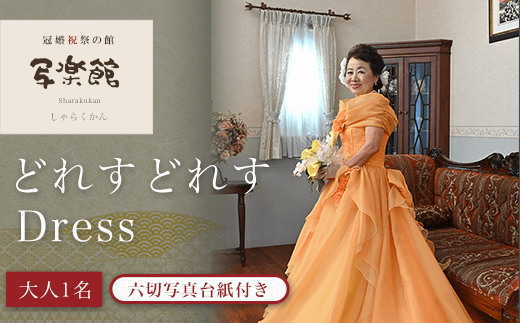 どれすどれすDress（大人１名）六切写真台紙付き 写真 撮影 スタジオ 千葉県 木更津市 送料無料 KBM003