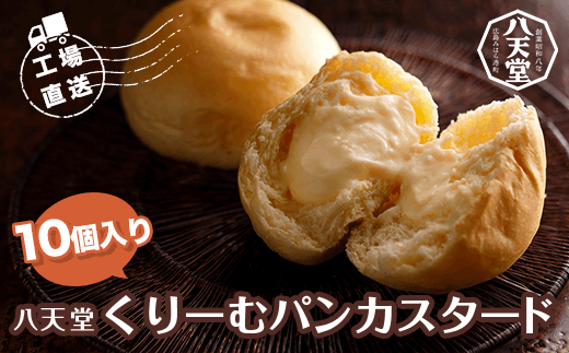 ＜工場直送＞八天堂くりーむパンカスタード10個入り ふるさと納税 パン クリームパン 千葉県 木更津市 送料無料 KBS002