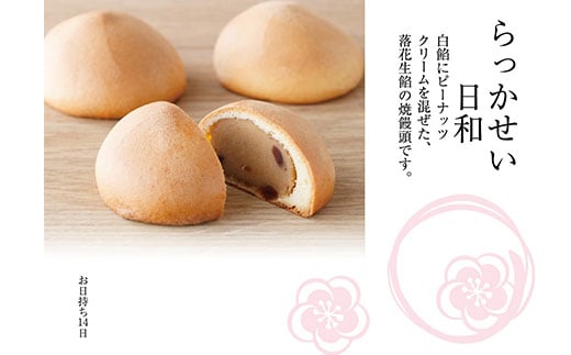 æ¢
æåºã»ã¬ã¯ãã16åå
¥ã KCM006