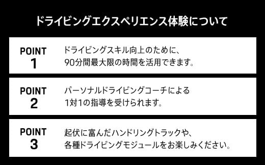 ポルシェ・エクスペリエンスセンター東京（10名グループでドライビング体験 ＋ ランチパーティー） ふるさと納税 ポルシェ ドライビング体験 高級車 スピードカー 運転 送料無料 千葉県 木更津市 KE011