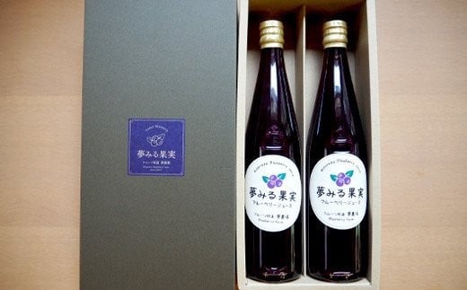 ＜有機栽培ブルーベリー使用＞夢みる果実ブルーベリージュース（果汁40％）500ml×2本 ふるさと納税 ブルーベリー ブルーベリージュース アントシアニン 千葉県 木更津市 送料無料 KAA001