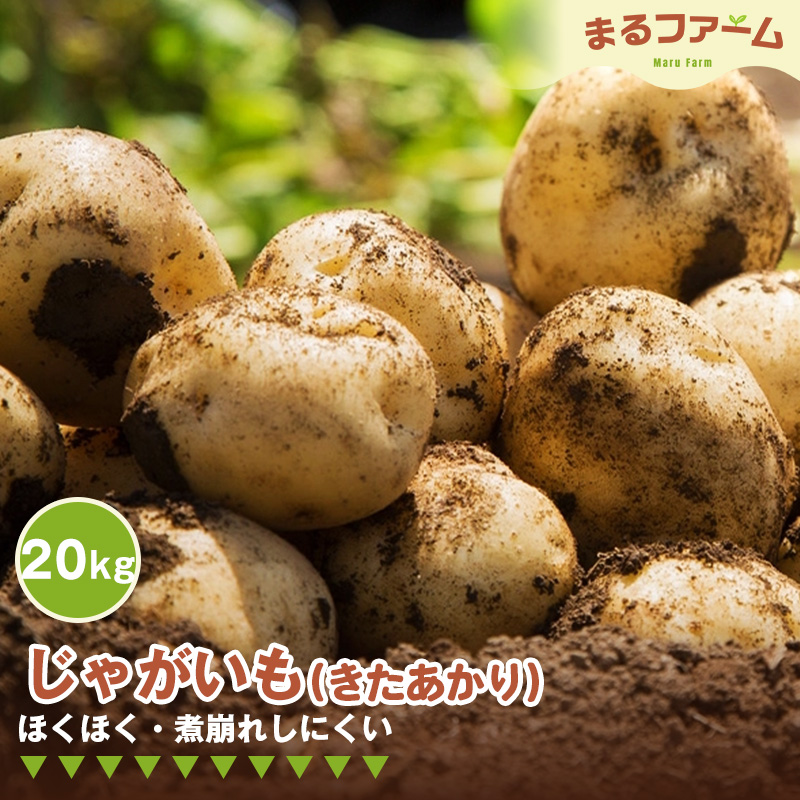 No.385 ジャガイモ（きたあかり） 20kg