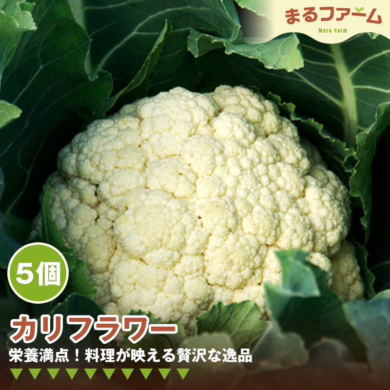 カリフラワー 5コ