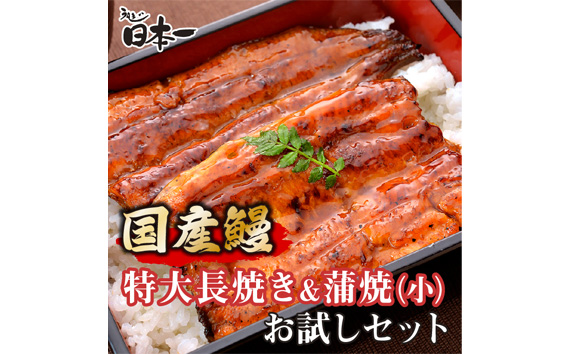 No.192 【日本一】国産うなぎ　特大長焼き+うなぎ蒲焼小90g　お試しセット