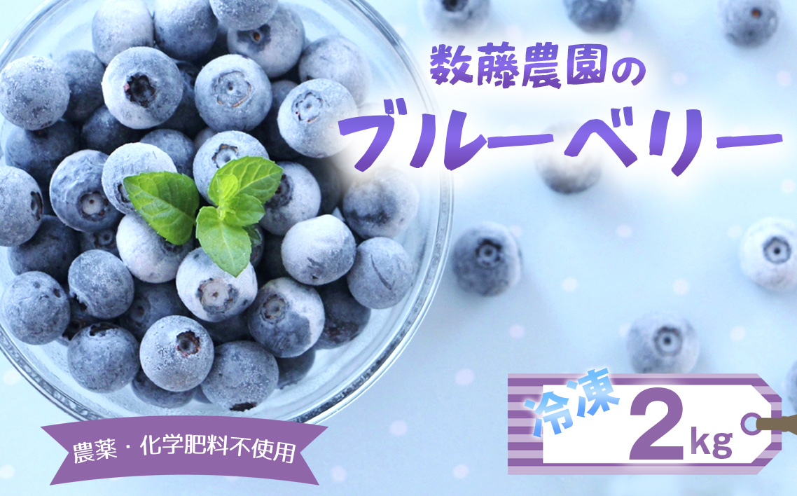 冷凍ブルーベリー 2kg 農薬・化学肥料不使用 No.322