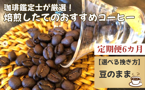 No.178-01 【毎月定期便6回】珈琲鑑定士が厳選！焙煎したてのおすすめコーヒー（豆）