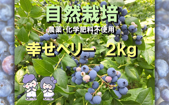 No.322 冷凍ブルーベリー 2kg 農薬・化学肥料不使用