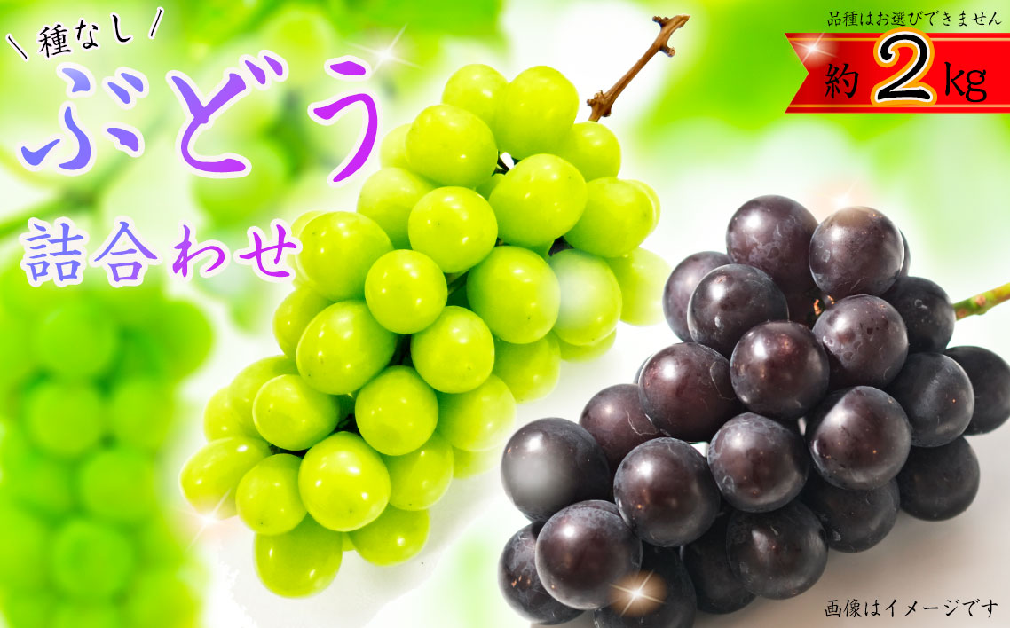 ぶどう詰合わせ約2kg No.362
