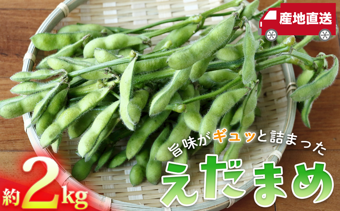 枝豆の聖地・千葉県野田市産！枝付き枝豆 約2kg ／ 枝豆 枝付き 枝豆2kg 産地直送 大莢 甘み濃厚 食べ応え ぷっくり豆 おつまみ BBQ 家飲み 新鮮 野菜 旬の味覚 千葉県 No.404